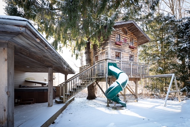 The Tree House Lodge